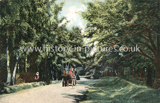 Jack's Hill, Theydon Bois, Essex. c.1908
